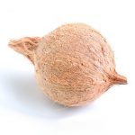 Coconut for Pooja (Puja)-0