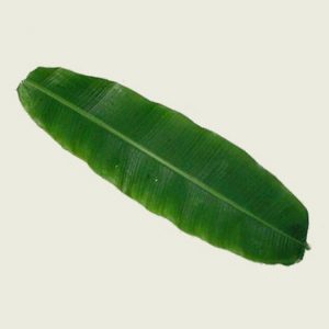 Banana leaves (3-4 feet length)-0