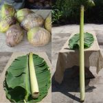 Hawaiian Pig Roast Kit - Large (126 pounds and up)-0