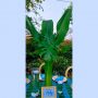 Banana leaves (3-4 feet length)-208