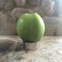Stainless Steel Coconut Holder-99