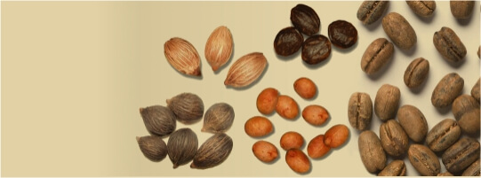 Seeds